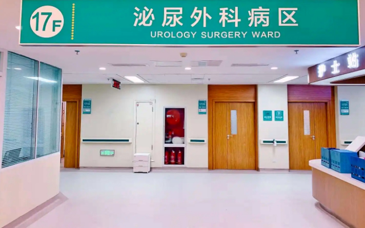 如何選一款好木門？這4點很重要，不懂的建議看看